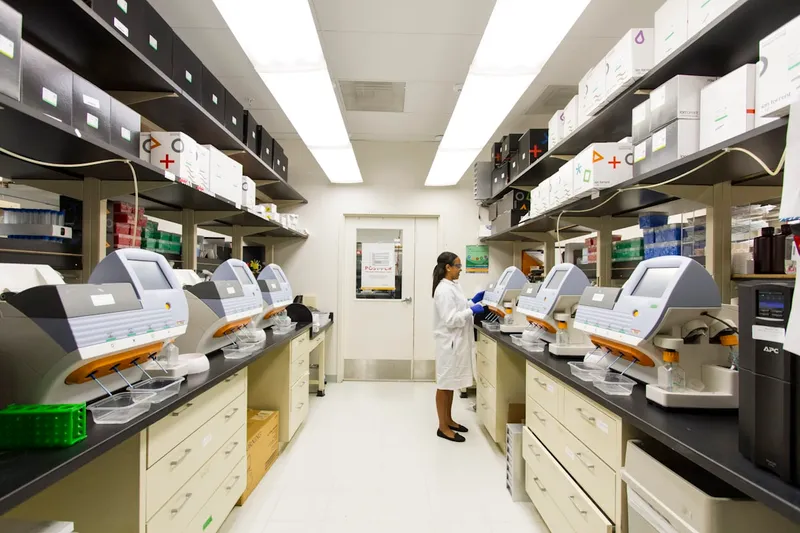 Postdoctoral Research